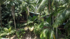 Un resort tropical con una terraza de madera y un muro de piedra.
