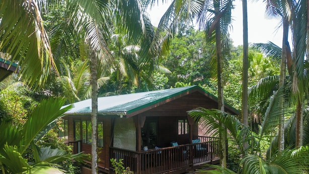 Una cabaña de madera con techo verde, rodeada de densa vegetación tropical.