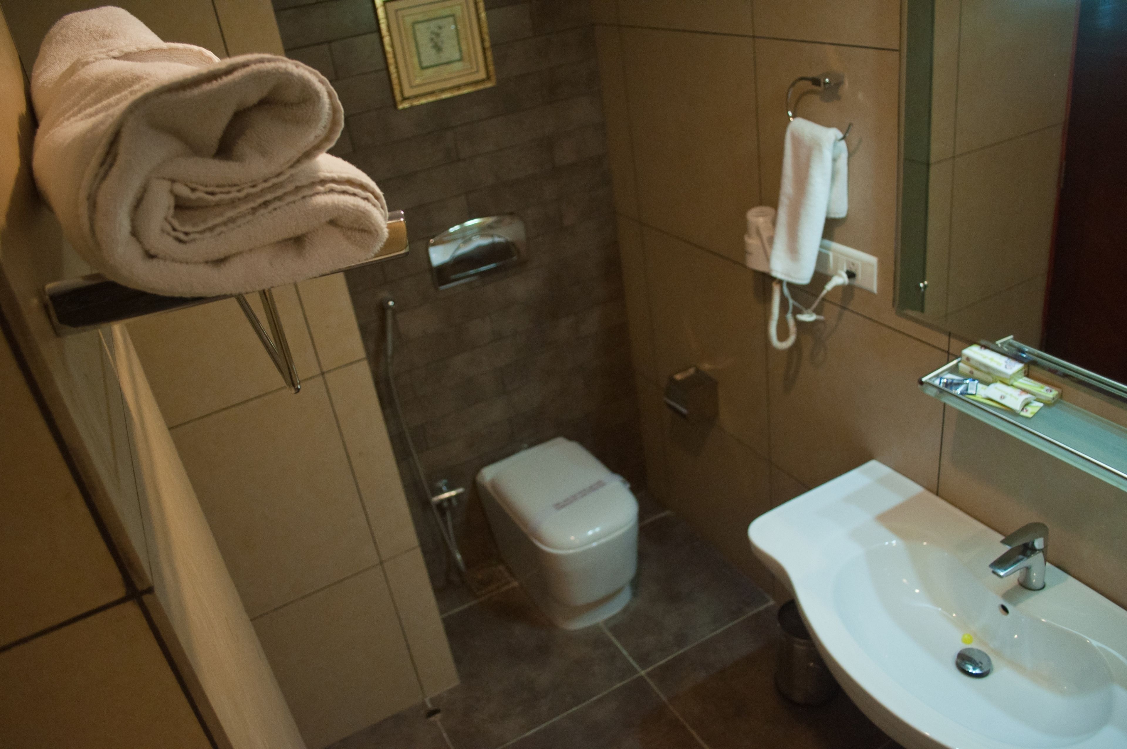 A bathroom with a toilet, sink, and towel rack.