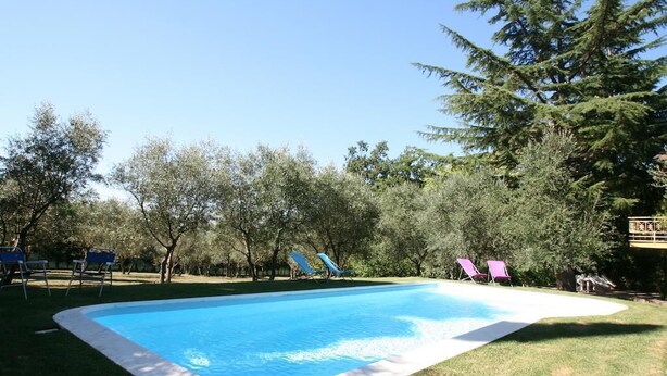 A rectangular swimming pool with a white edge, surrounded by grass and trees. - La Stregatta B&B (Fucecchio)