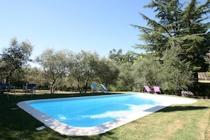 A rectangular swimming pool with a white edge, surrounded by grass and trees. - La Stregatta B&B (Fucecchio)