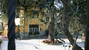 A courtyard with a building, trees, and a flower bed. - La Stregatta B&B (Fucecchio)
