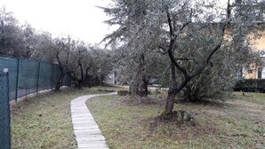 A paved pathway in a park with trees and a fence. - La Stregatta B&B (Fucecchio)