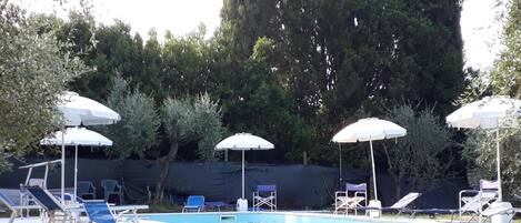 Outdoor pool, sun loungers