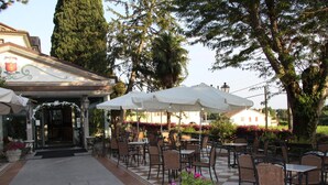 Un área de café al aire libre con mesas y sillas, rodeada de plantas en macetas y árboles.