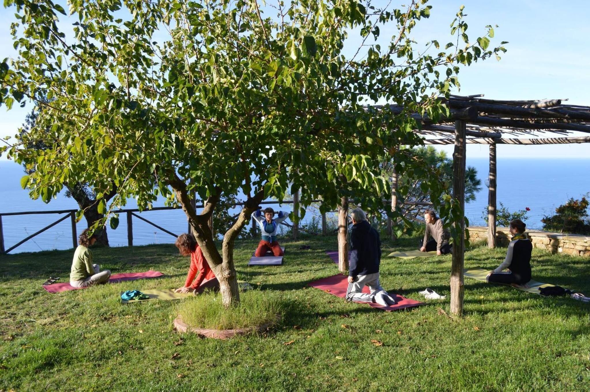 A group of people practicing yoga on mats in an outdoor setting with a view of the sea.