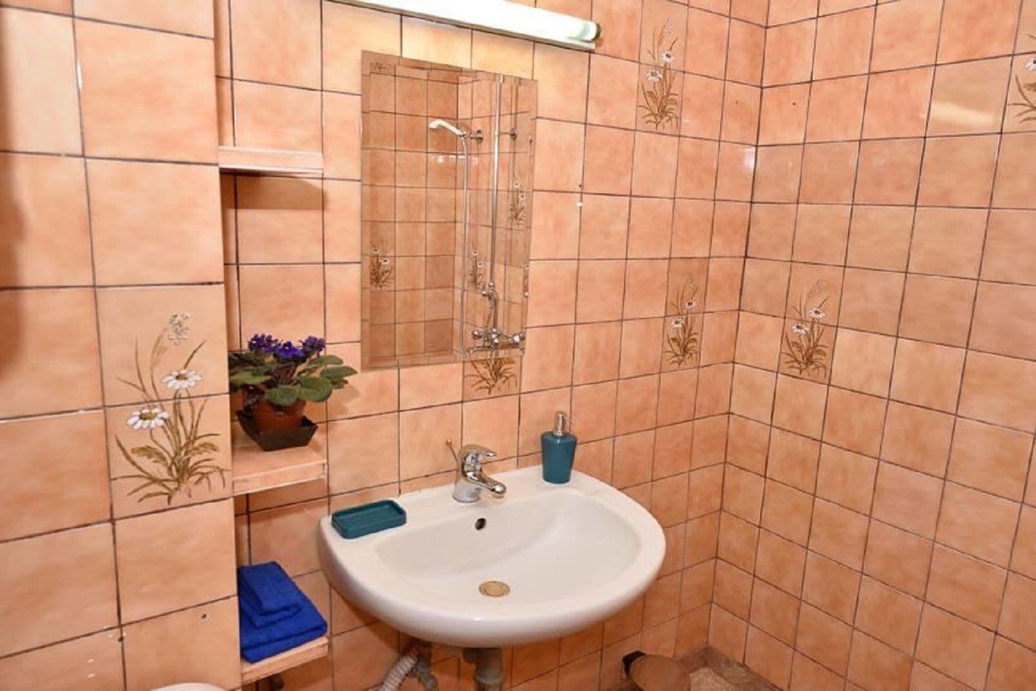 Un baño con un lavabo blanco, un espejo y una estantería con una planta en maceta.