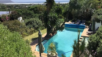 Comfort Apartment, 1 Bedroom, Kitchen, Pool View | View from room