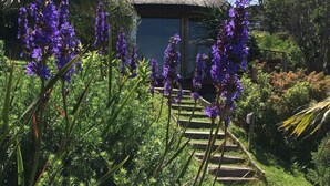 A thatched-roof structure with a view of a garden with purple flowers and a staircase leading up to it. - Ocean Golf Guest House (Cape Town)