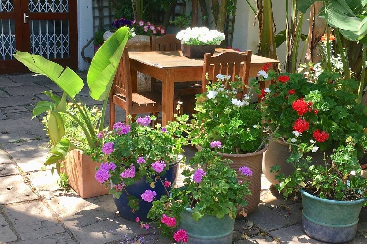 A patio area with a wooden table and chairs, surrounded by various potted plants and flowers.