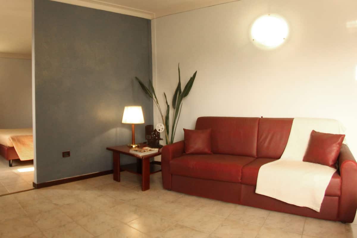 Flat-screen TV, pay movies