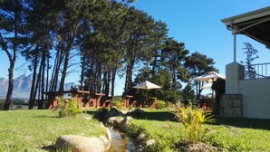 Property grounds - Topiary Vineyard Cottages (Franschhoek)