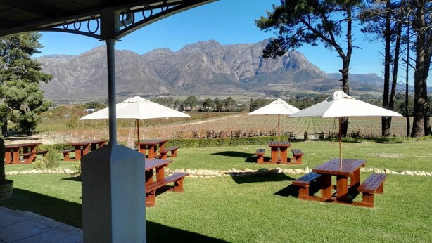 Property grounds - Topiary Vineyard Cottages (Franschhoek)