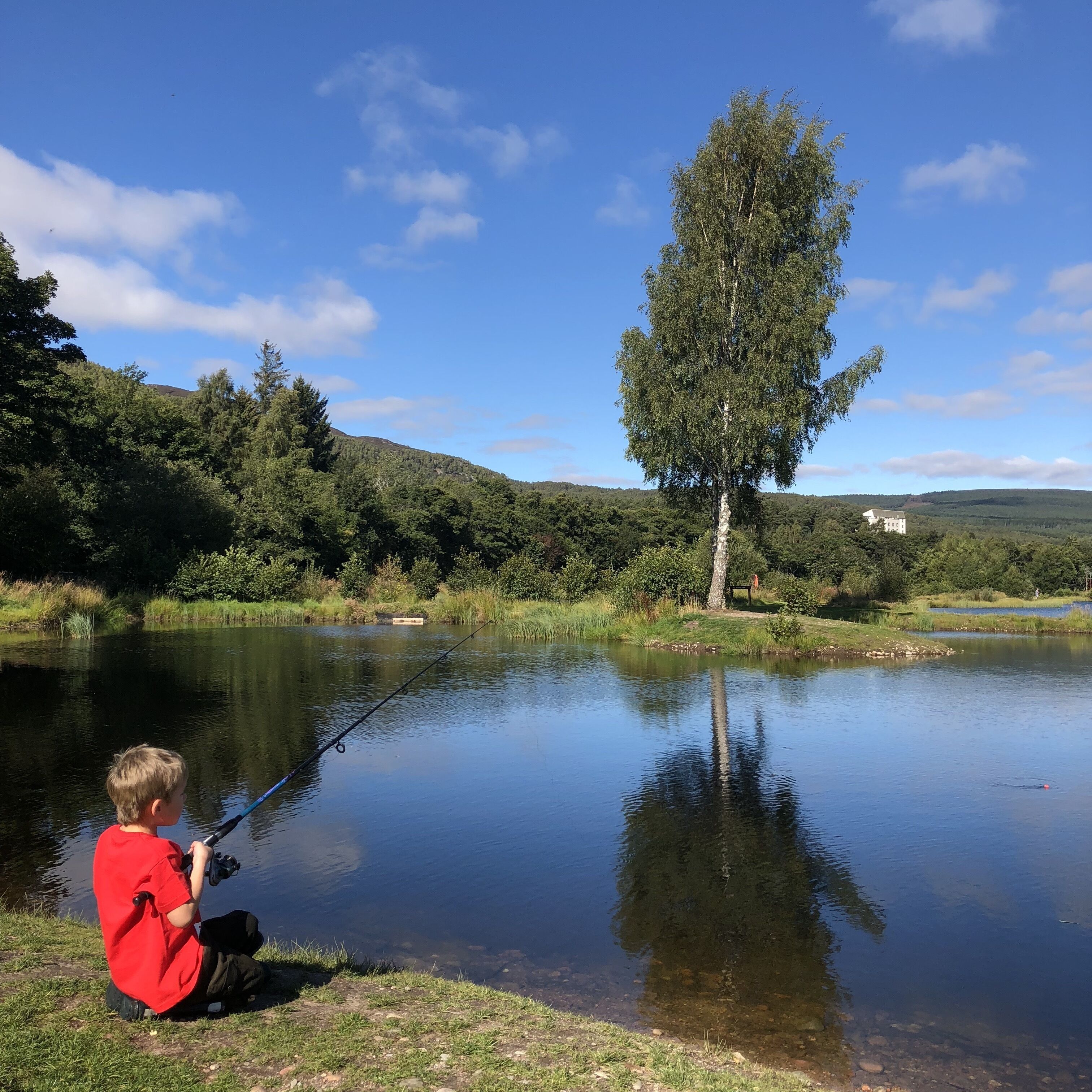 A serene lakeside scene with a person fishing, surrounded by lush greenery and a clear sky.