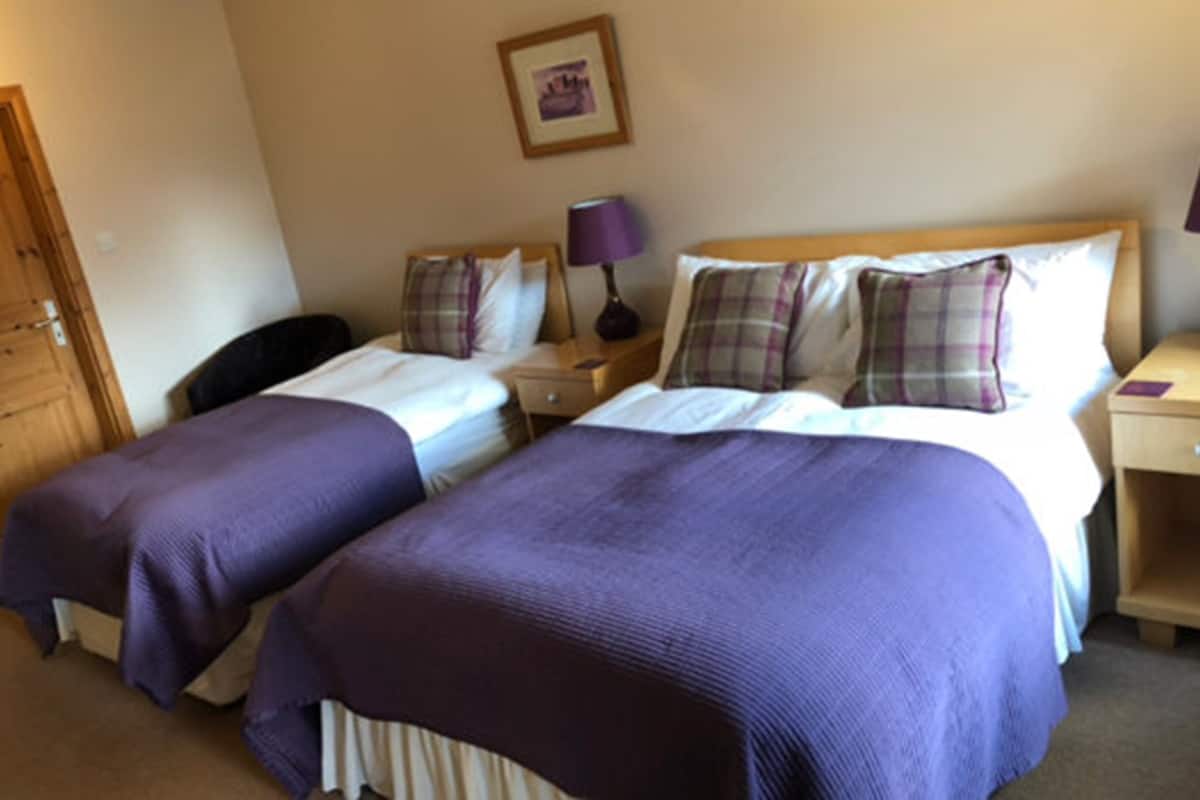 Habitación de hotel con dos camas, cada una con colcha y almohadas moradas a juego. A la izquierda, una puerta de madera y, sobre las camas, un cuadro enmarcado en la pared.