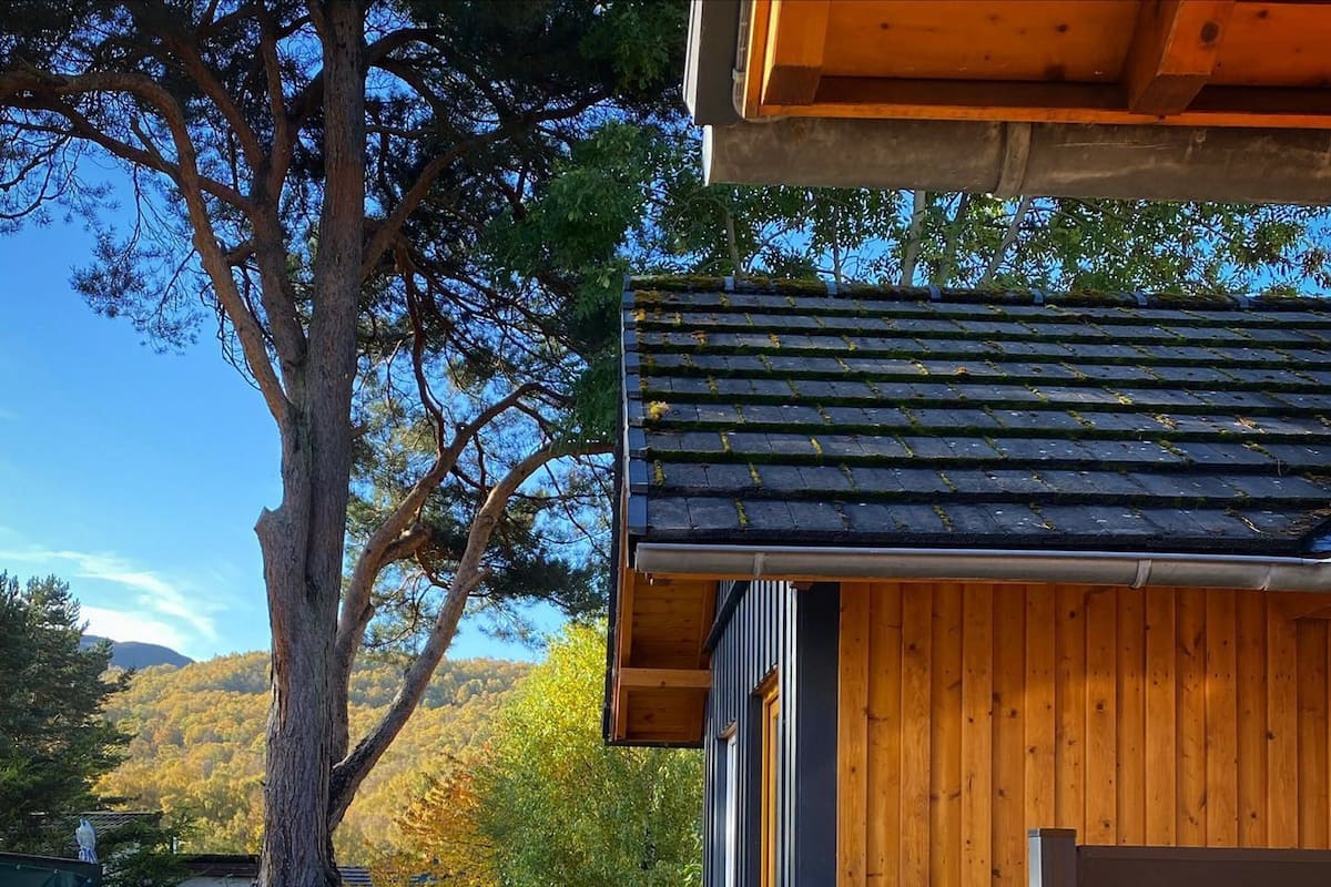 Una cabaña de madera con techo de piedra, un muelle de madera y una vista de un árbol y colinas al fondo.