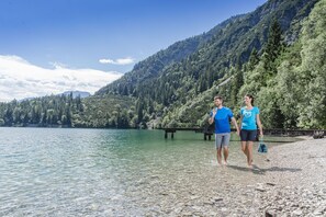 เดินป่า