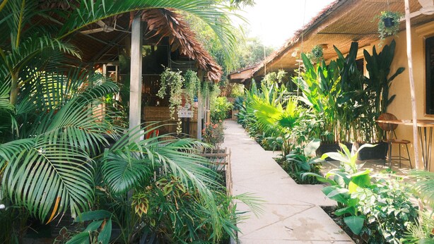 A narrow pathway flanked by lush tropical plants and thatched-roof structures, suggesting a serene, nature-immersed environment. - Siem Reap Homesteading (Siem Reap)