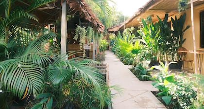 Siem Reap Homesteading