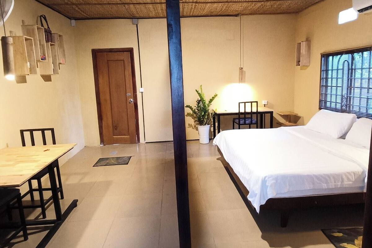 Ein Zimmer mit einem Bett, einem Schreibtisch, einem Sessel, einer Topfpflanze und einer Tür.