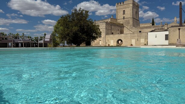 A swimming pool with clear blue water, a large tree, and a historic building with a tower in the background. - Masseria Torre Spagnola  (Matera)