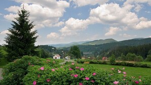 Ett lantligt landskap med ett stort barrträd, en stig som leder till en vit byggnad och ett fält med rosa blommor.