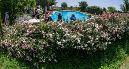 Bordeghina B&B in Farmhouse
