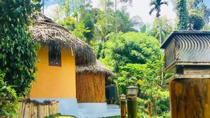 Una casa de techo de paja con fachada blanca, rodeada de vegetación exuberante y un cielo despejado.