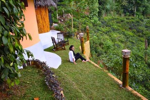 Área da propriedade