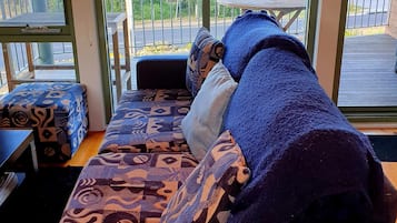 LCD TV, fireplace, DVD player, books