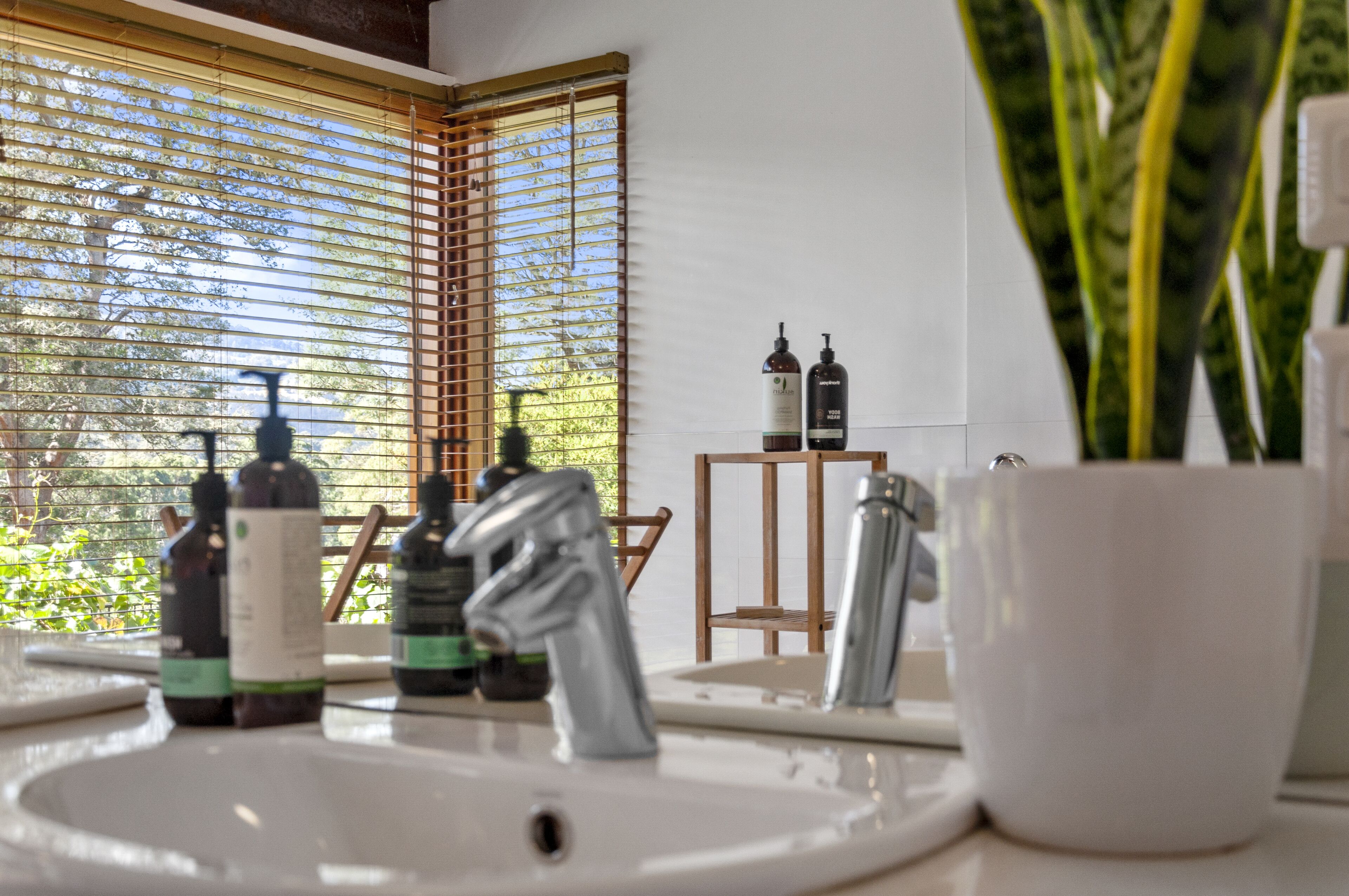 Une salle de bain avec un lavabo, deux flacons de savon liquide, un robinet et une plante en pot.