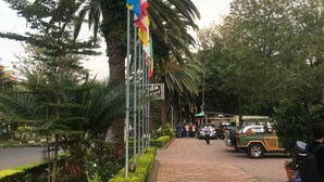 Une allée pavée, agrémentée d’un panneau indiquant l’hôtel Wanda, est entourée d’une végétation luxuriante et de palmiers.