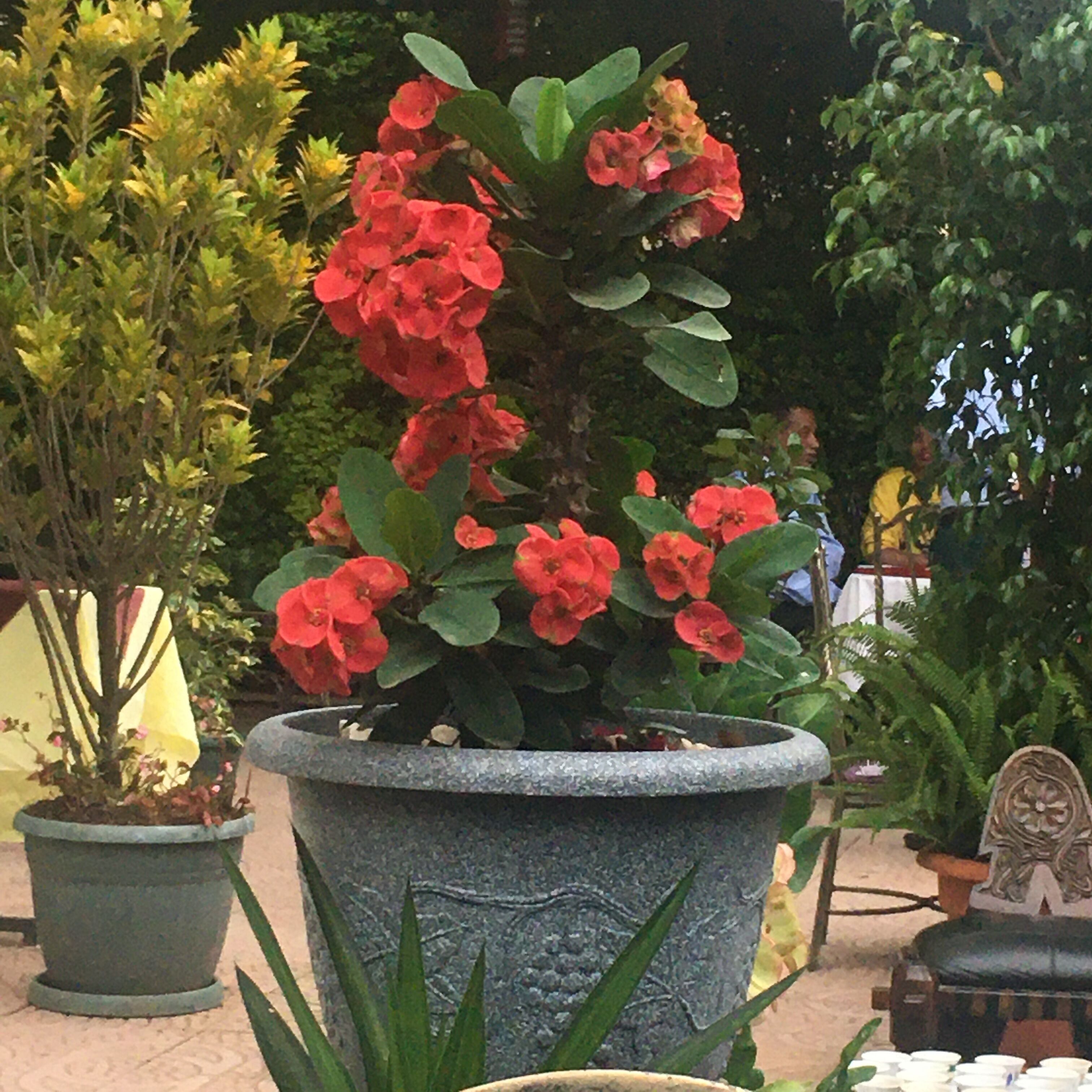 couples treatment room(s), sauna, steam room, deep-tissue massages