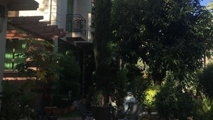 Une cour agrémentée de plantes en pot, de meubles d’extérieur et d’un grand arbre.