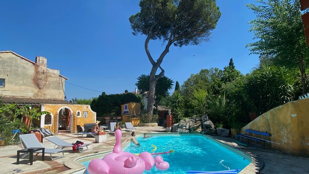 Una piscina con sillas de descanso, un flamenco inflable rosa y un árbol grande al fondo.