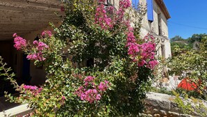 Un edificio con fachada de piedra, un balcón con contraventanas azules y un arbusto en flor al frente.