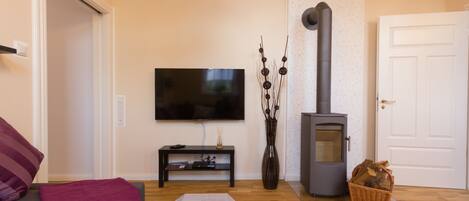 A living room with a sofa, a flat-screen TV, a fireplace, and a decorative vase.