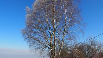 A snow-covered landscape with a large tree in the center, a stone wall, and a clear blue sky.