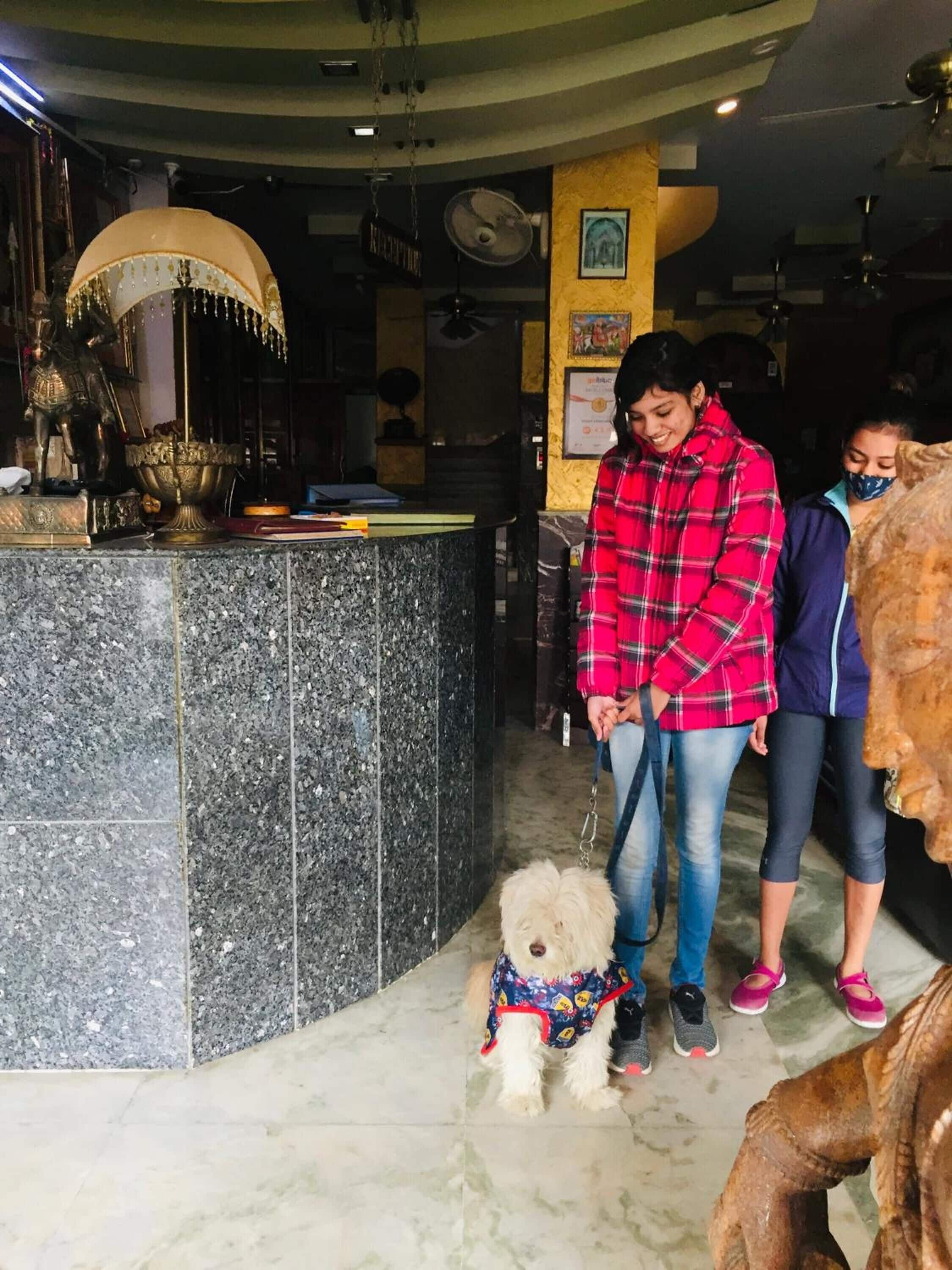 Foto - Hotel Meenakshi Udaipur - Family Preffered Hotel