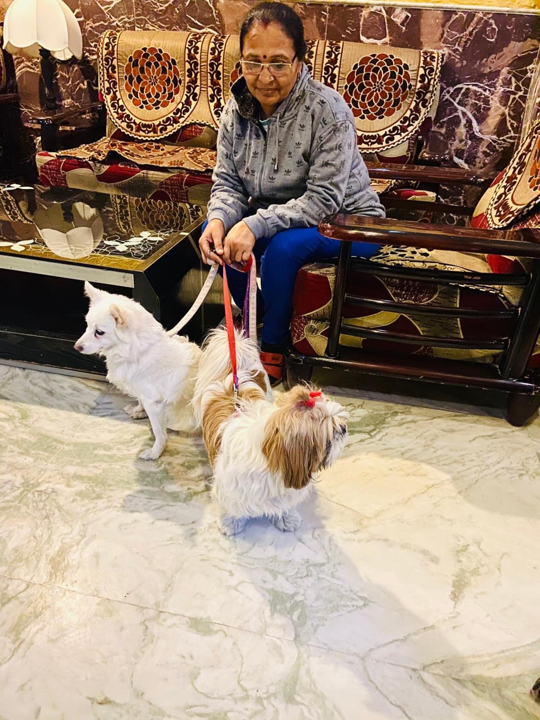 Foto - Hotel Meenakshi Udaipur - Family Preffered Hotel