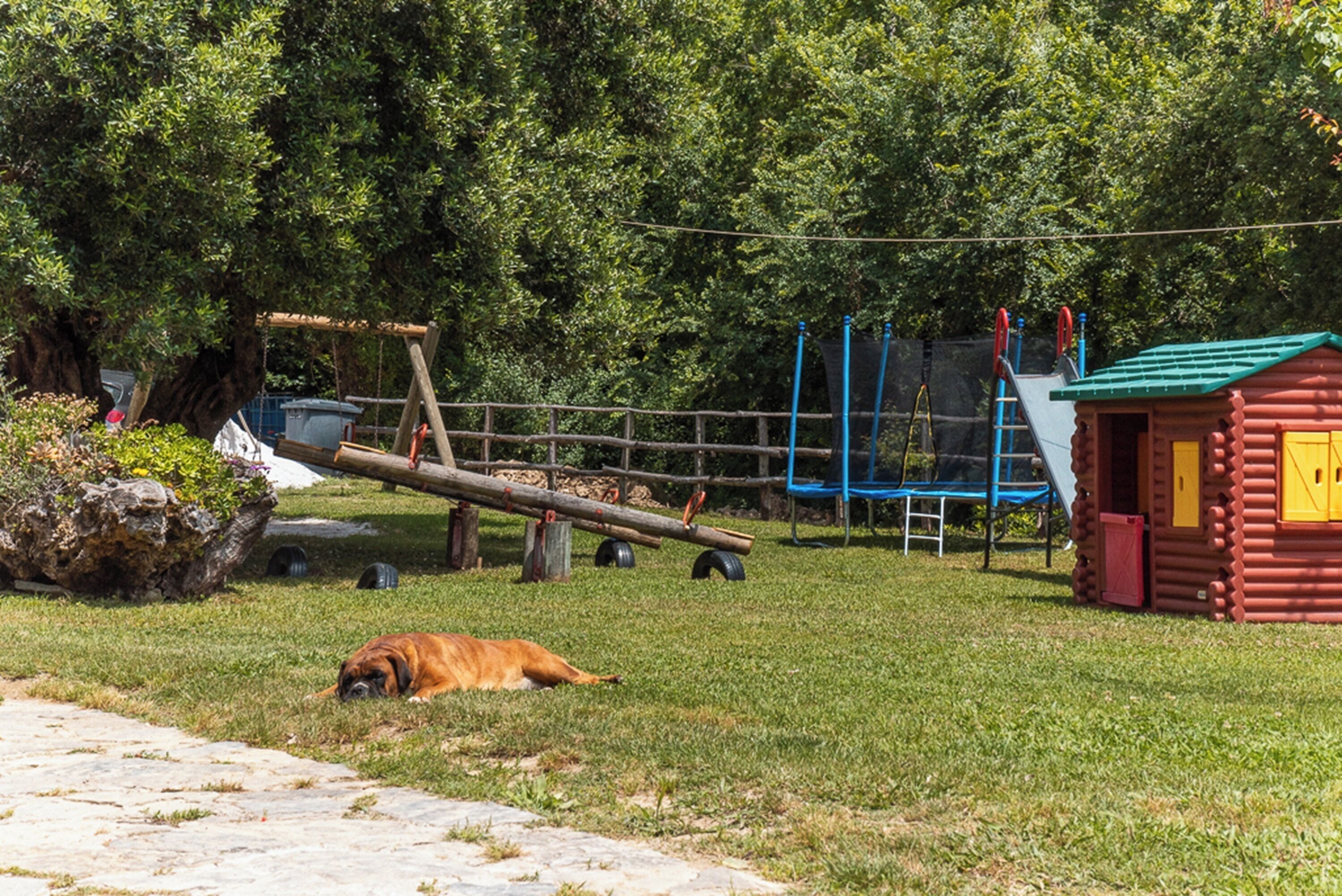 Foto - Agriturismo San Basilio