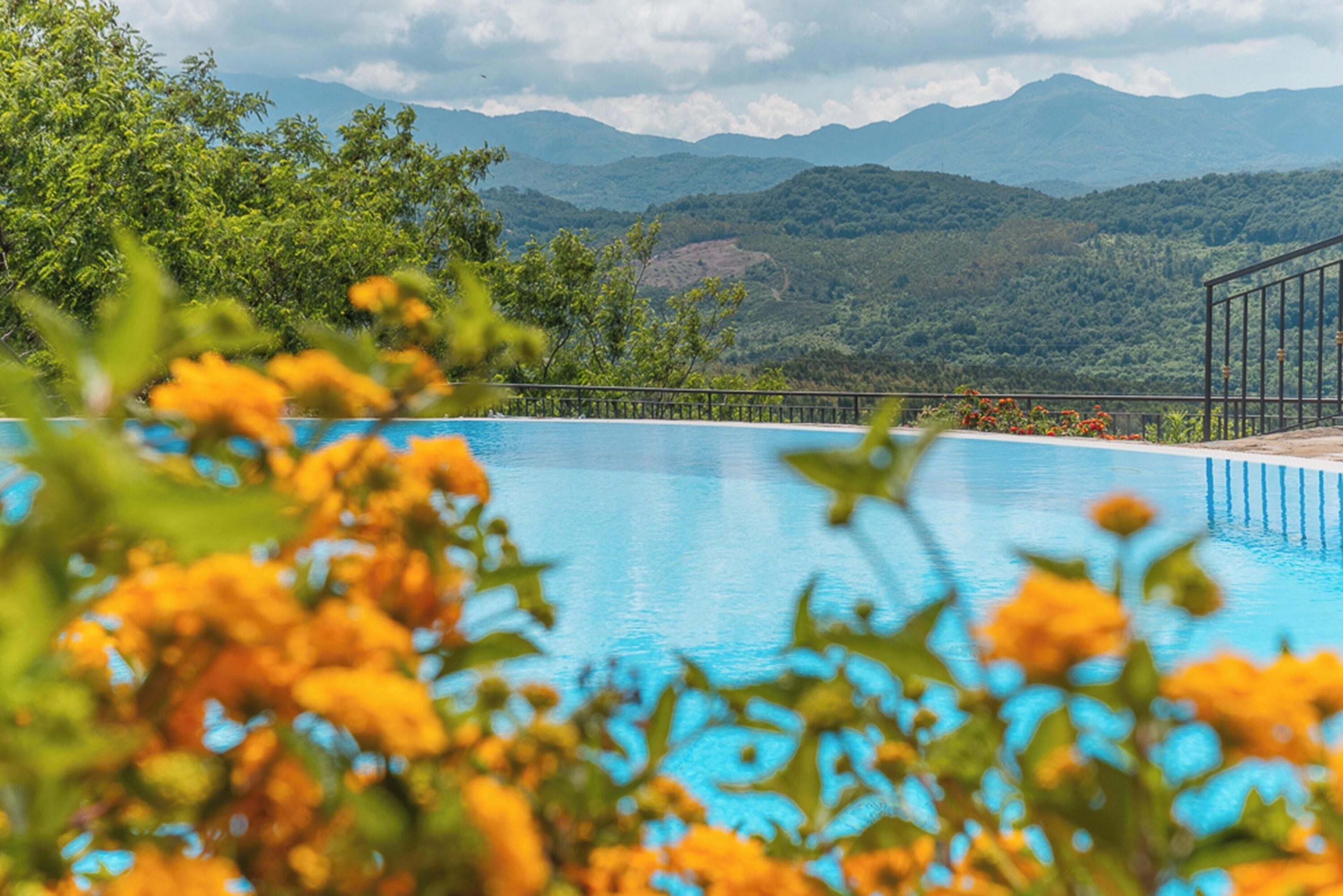 Foto - Agriturismo San Basilio