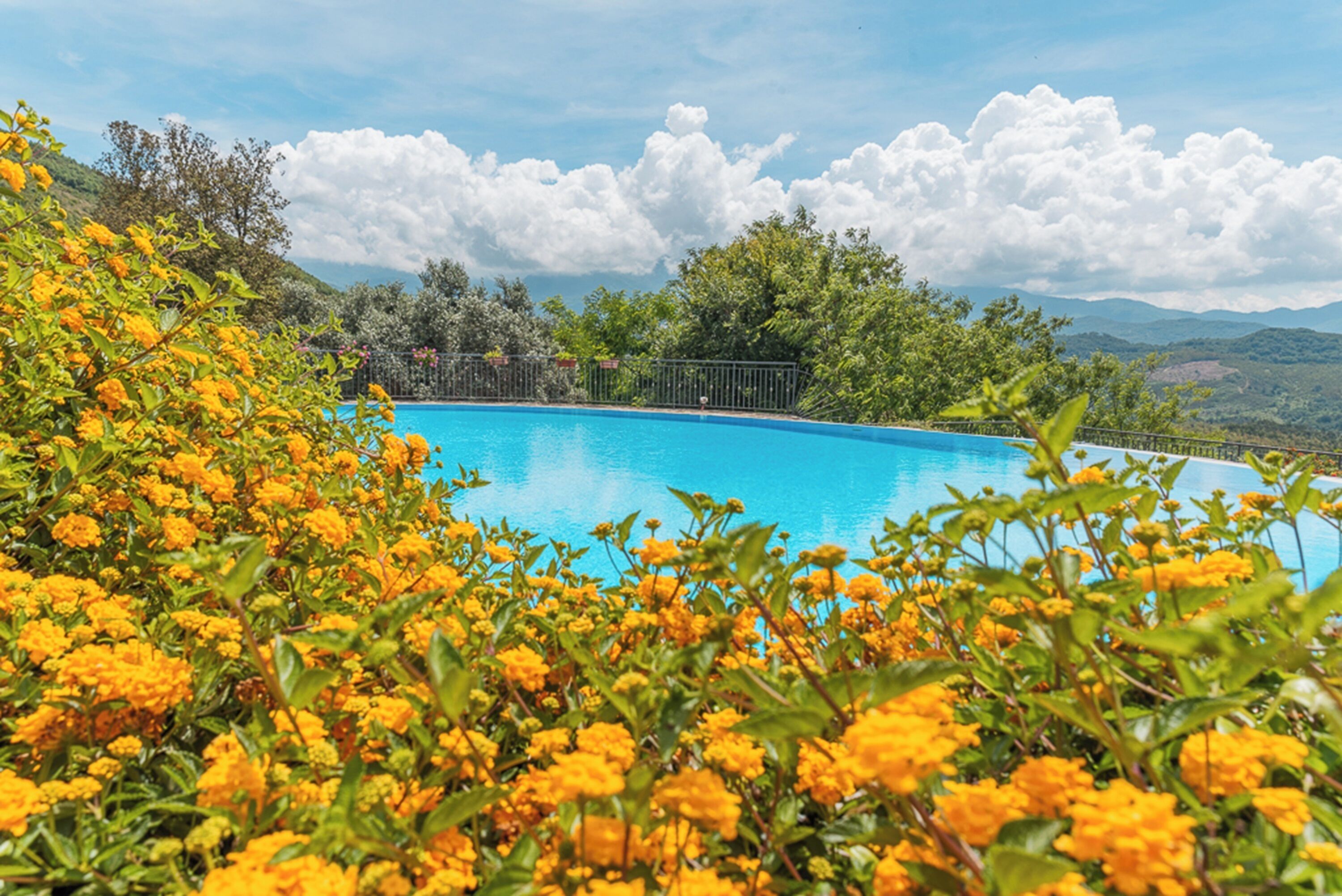 Foto - Agriturismo San Basilio