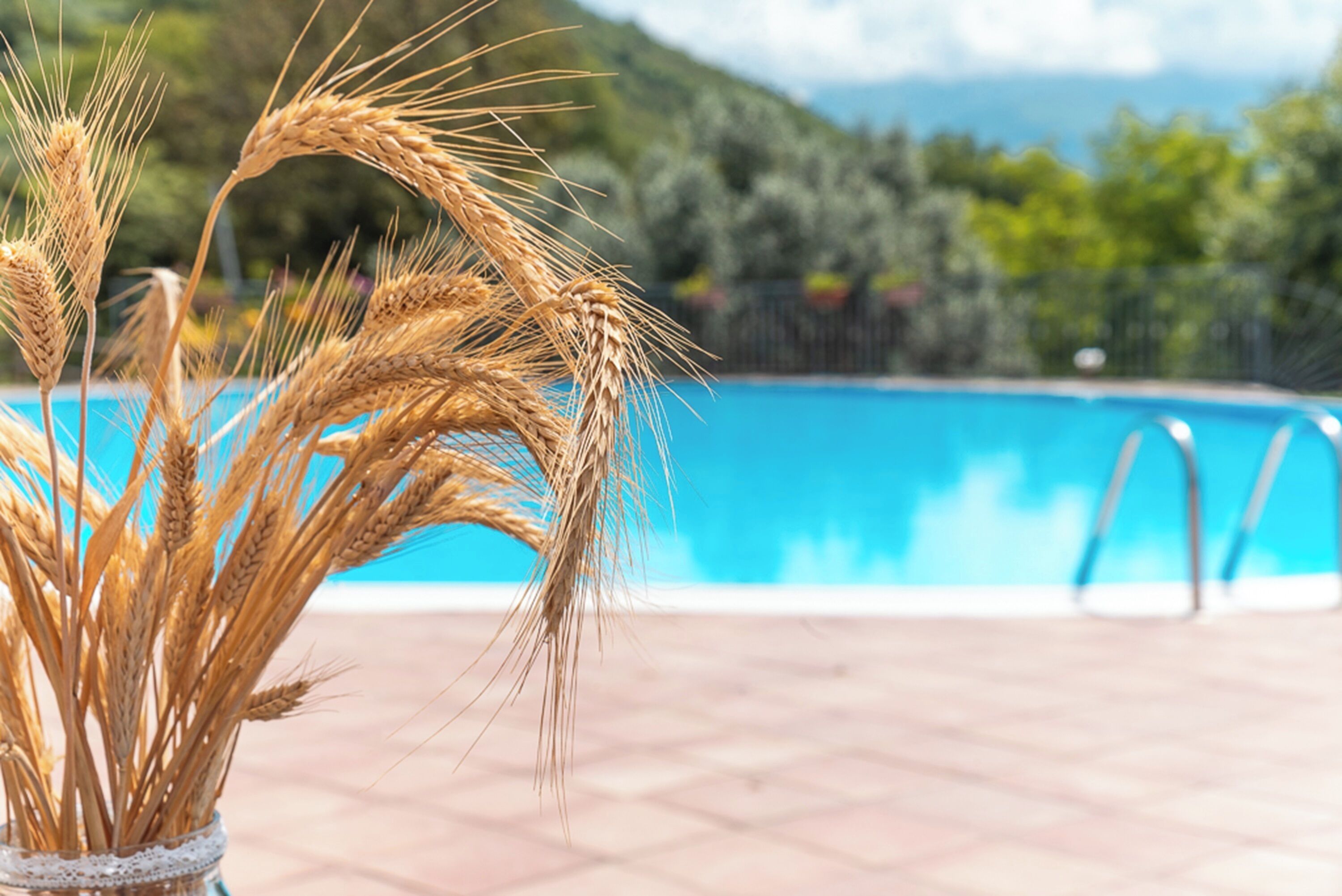 Zona junto a la piscina con un jarrón de espigas de trigo y una piscina azul clara al fondo.