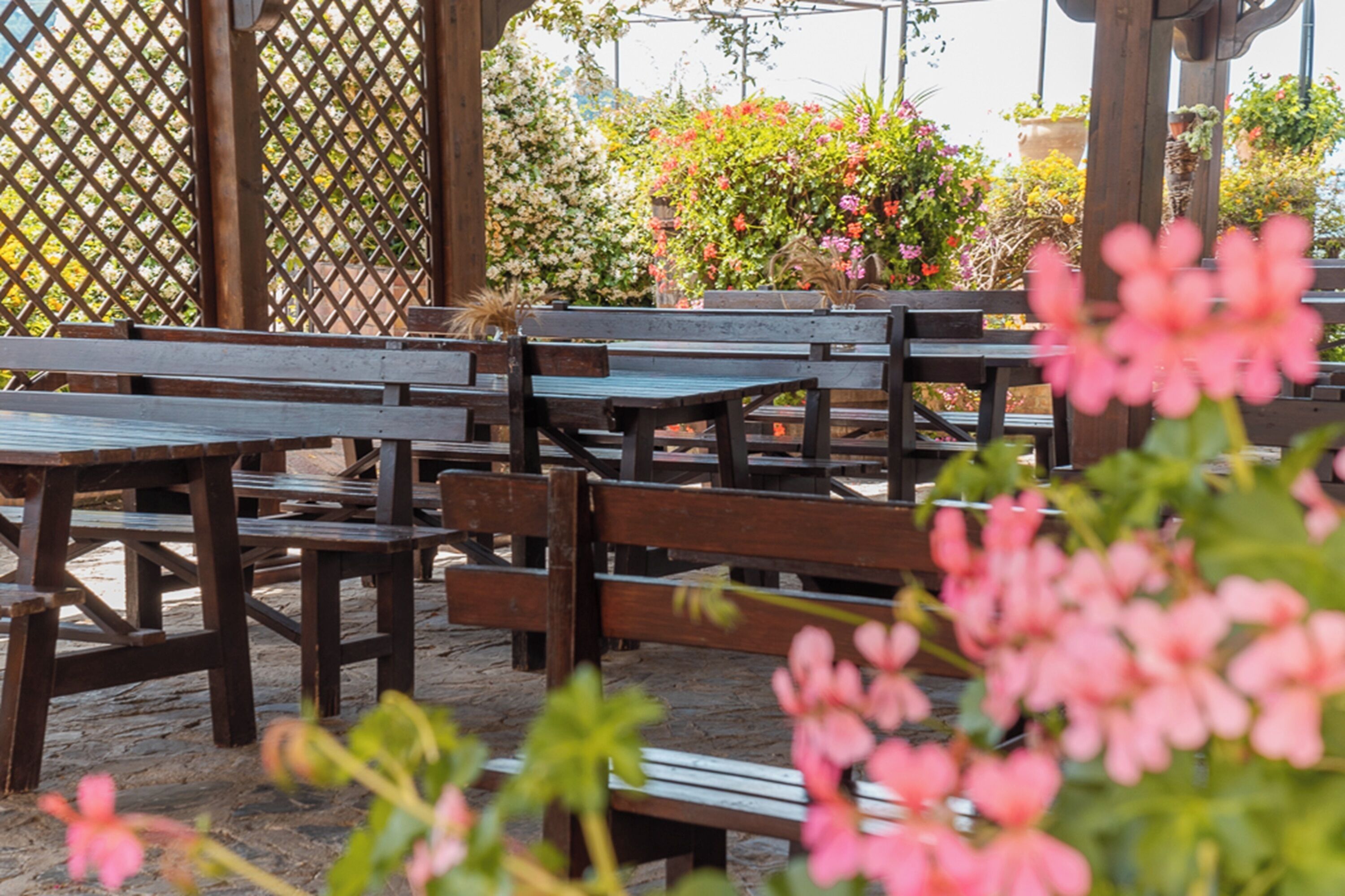 A patio area with wooden benches and tables, surrounded by a lattice fence and various plants.