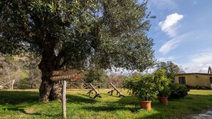 Un espacio al aire libre rústico con un árbol grande, un indicador de madera y un edificio amarillo al fondo.