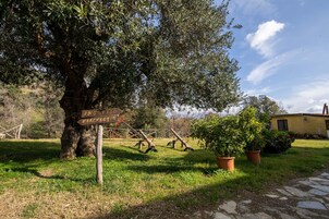 Un espacio al aire libre rústico con un árbol grande, un indicador de madera y un edificio amarillo al fondo.