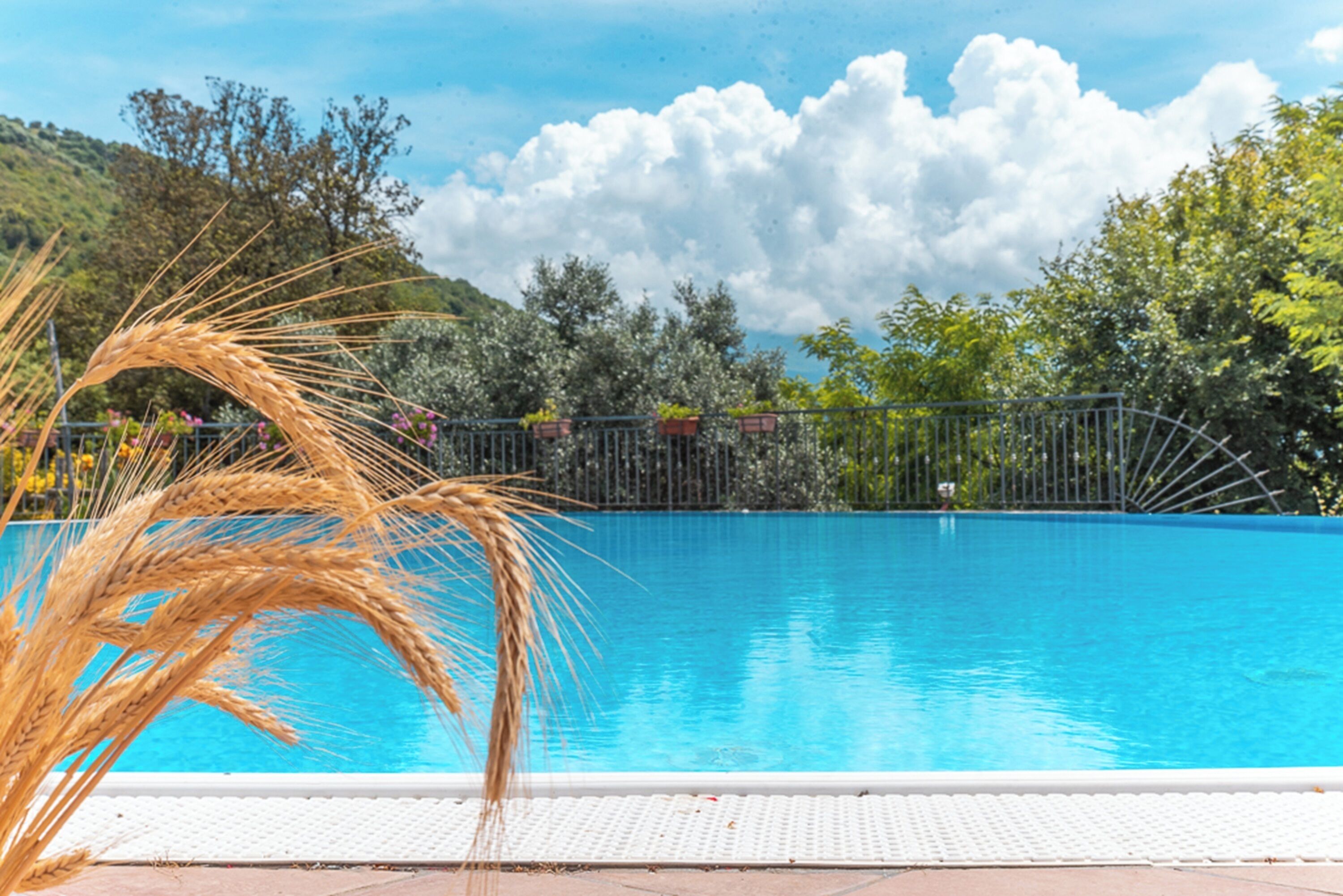 Ein Schwimmbecken mit klarem, blauem Wasser, umgeben von üppiger Vegetation und einem Metallzaun.
