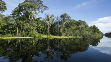 A tranquil lake surrounded by dense forest.