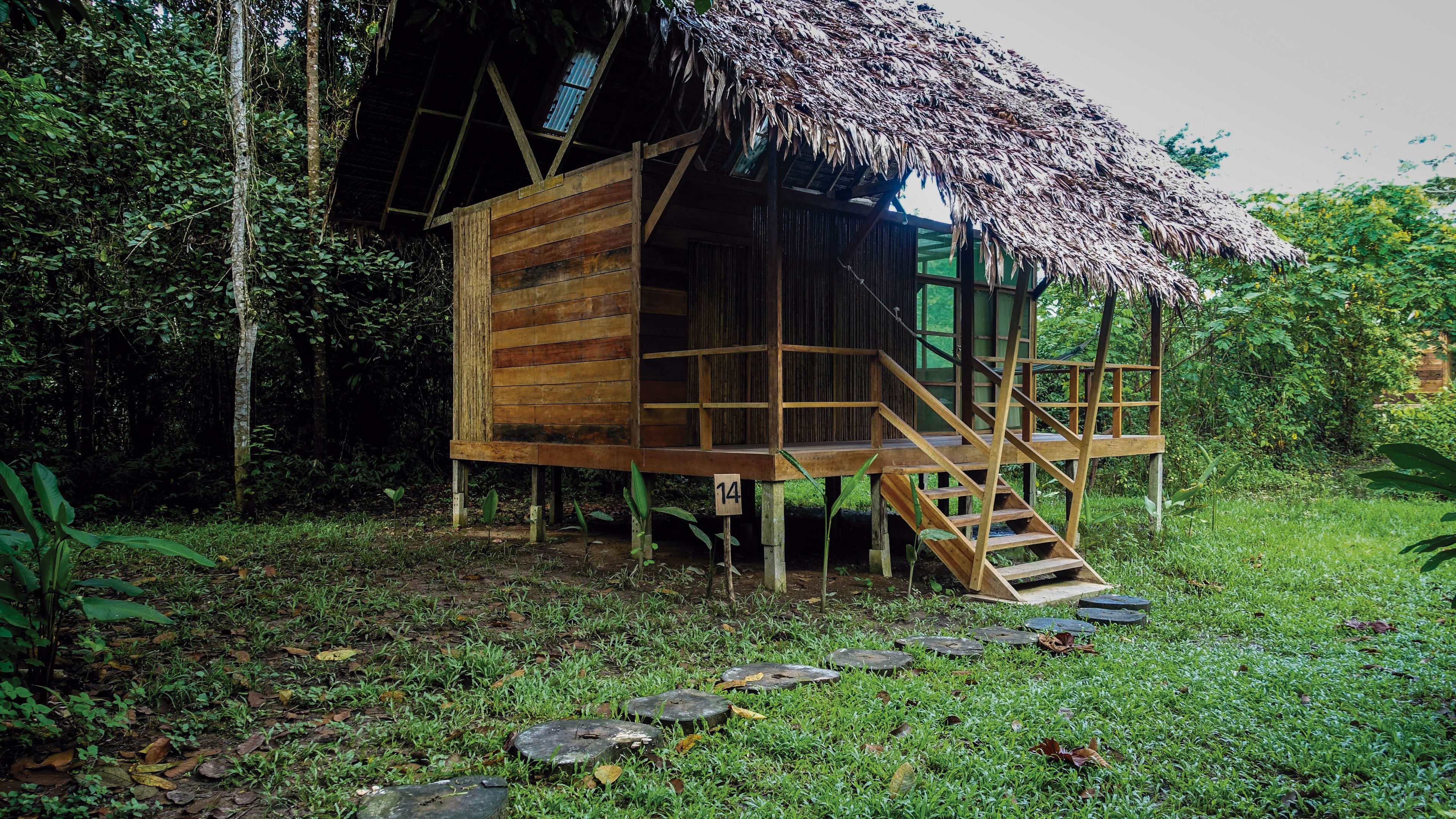 A wooden cabin with a thatched roof, surrounded by lush greenery.